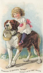 Werbung für James Pyles Pearline Washing Compound, ca. 1880