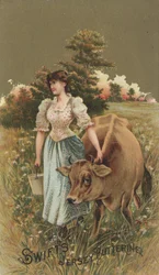 Werbung für Swifts Jersey Butterine, ca. 1880