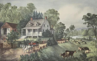 Amerikanisches Heim - Sommer