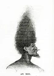 Api-Mann, Illustration aus Appletons Journal, 4. Mai 1872