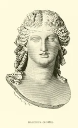 Bacchus, Rom