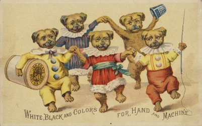 Hund tanzt in Kleidung