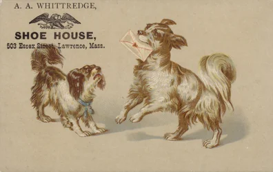 Hund hält Brief im Maul