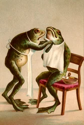 Humorvolle Illustration eines Frosches, der rasiert wird