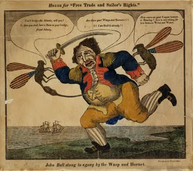 John Bull von der Wespe und Hornisse zu Tode gestochen