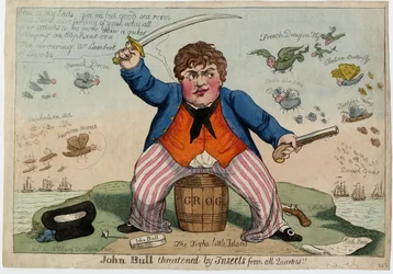 John Bull von Insekten aus allen Richtungen bedroht