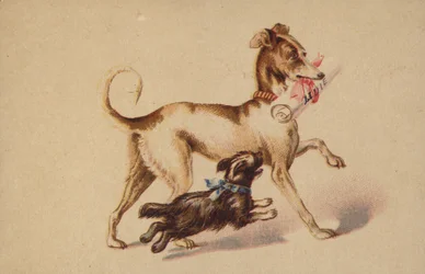 Großer und kleiner Hund rennen