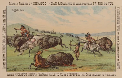 Indianer jagen Büffel