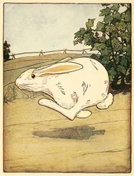 Peter hörte nie auf zu rennen, aus Die Geschichte von Peter Hase, veröffentlicht 1916 Farblithographie, 1916