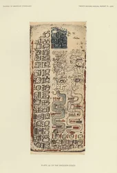 Tafel LXI des Dresdner Kodex