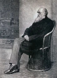 Porträt von Charles Darwin