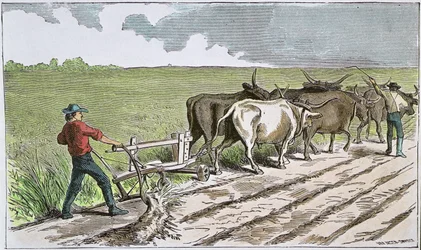 Sodbuster des amerikanischen Westens, ca. 1880