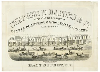 Stephen D. Barnes & Co. Austernzüchter & Großhändler, Depot Nr. 4 Fuß der Broome Street