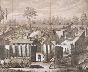 Das Kriegsgefangenenlager in Andersonville