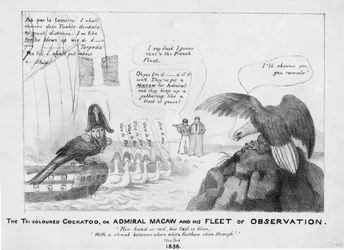 Der dreifarbige Kakadu oder Admiral Macaw und seine Beobachtungsflotte, 1836