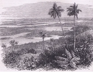 Ansicht der Bermudas, Illustration aus Cassell
