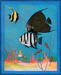 Vintage-Druck eines Salzwasseraquariums mit tropischen Fischen