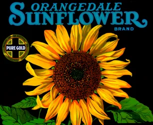 Vintage Sonnenblumen-Fruchtkistenetikett
