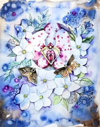 Träumerische Orchideenmotten