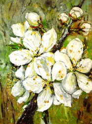 Weiße Frühlingsblüten