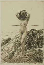 Hårstång (Seegras-Kranz)