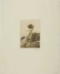 Hårtång (Seetang-Kranz)