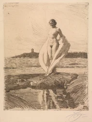 Der Schwan