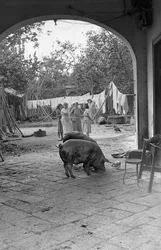 Hanfverarbeitung, die andere Seite des Hofes