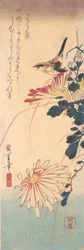 Ein Zaunkönig und Chrysanthemen, ca. 1830