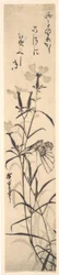 Schwarz-Weiß-Druck von Schmetterling und Blume einer Nelke