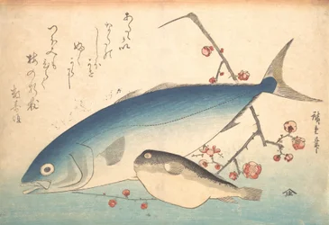 Fugu und Inada Fisch, aus der Serie Uozukushi Jede Fischart, 1840er Jahre