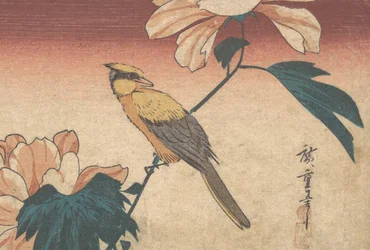 Hibiscus Mutabilis und Eichelhäher, ca. 1840