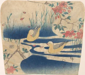 Möwen und Kirschblüten, wahrscheinlich 1850-62
