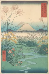 Kai, Otsuki no Hara, 4. Monat Pferdejahr 1858