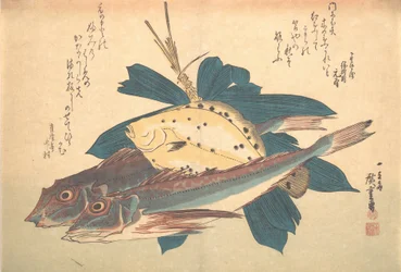 Kanagashira und Karei Fisch, aus der Serie Uozukushi Jede Fischart, 1830er Jahre