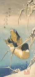 Stockente und schneebedeckte Schilfrohre, ca. 1832