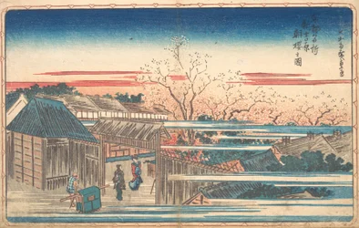 Morgenkirschen in Yoshiwara