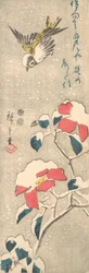 Spatz und schneebedeckte Kamelie (Tsubaki)