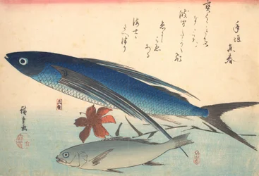 Tobiuo und Ishimochi-Fisch, aus der Serie Uozukushi Jede Fischart