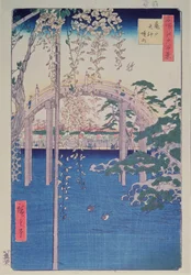 Fußbrücke über Fluss mit blühender Glyzinie im Vordergrund