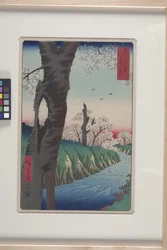 Koganei in der Provinz Musashi