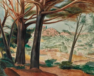 Der Wald von Martigues
