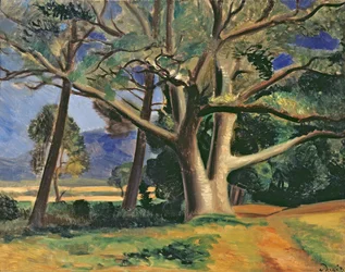Der große Baum, ca. 1929-30