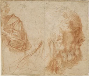 Ein Jüngling und der Kopf eines alten Mannes Homer. Studie, ca. 1521