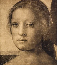 Kopf einer jungen Frau, Zeichnung von Andrea del Sarto. Gabinetto dei Disegni e delle Stampe, Uffizien, Florenz