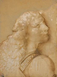 Büste eines jungen Mannes, Studie für den Engel der „Taufe Christi“ von Verrocchio, ca. 1475