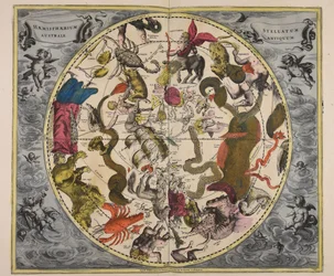 Haemisphaerium stellatum australe antiquum