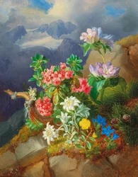 Alpenblumen