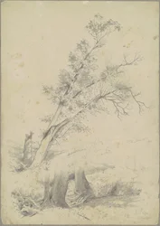 Bäume, Hudson