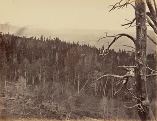 Tafel 13. Schnee- und Baumgrenze, Laramie Mountains